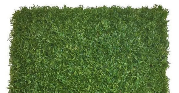 Elite Play CAD $7.74 per sq. ft.