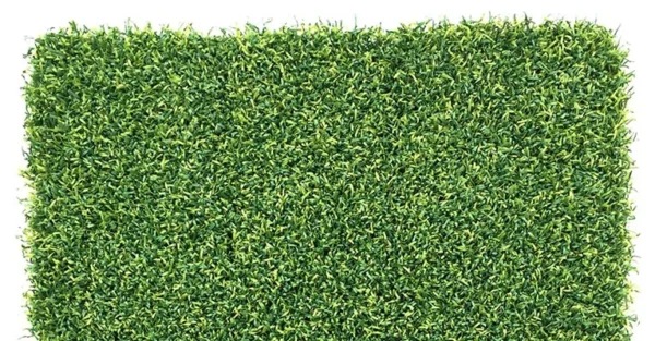 Eagle Putt CAD $6.06 per sq. ft.