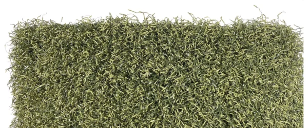 Tour Turf CAD $4.99 per sq. ft.